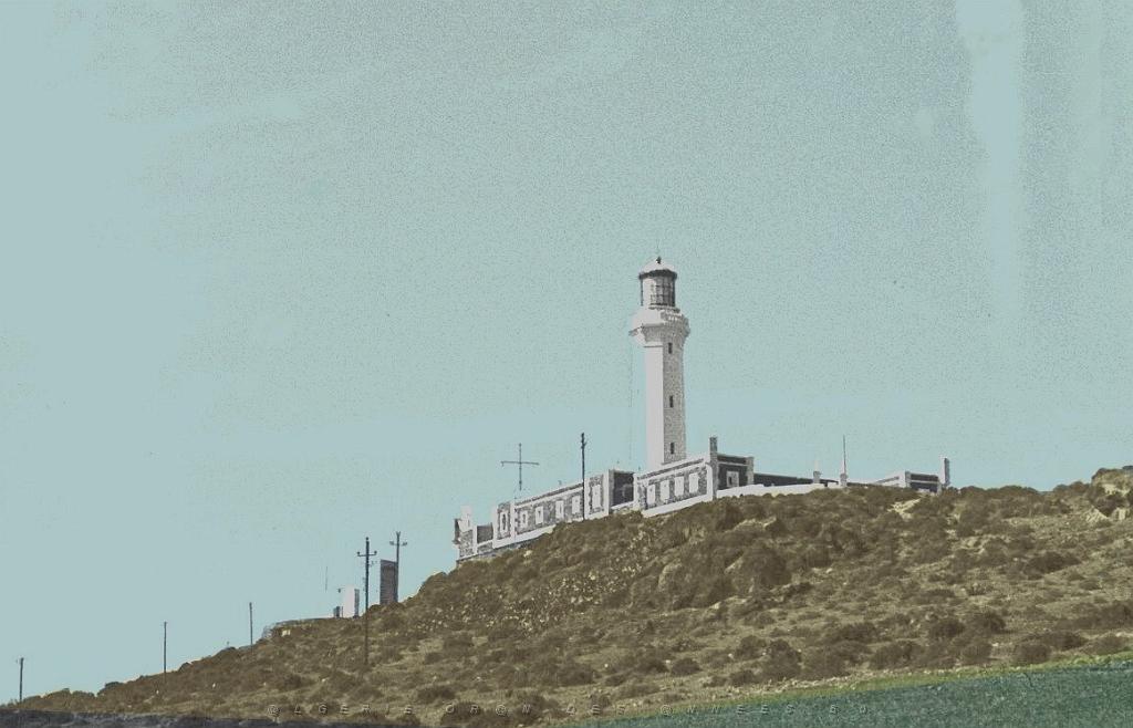 Cap Falcon 04.JPG